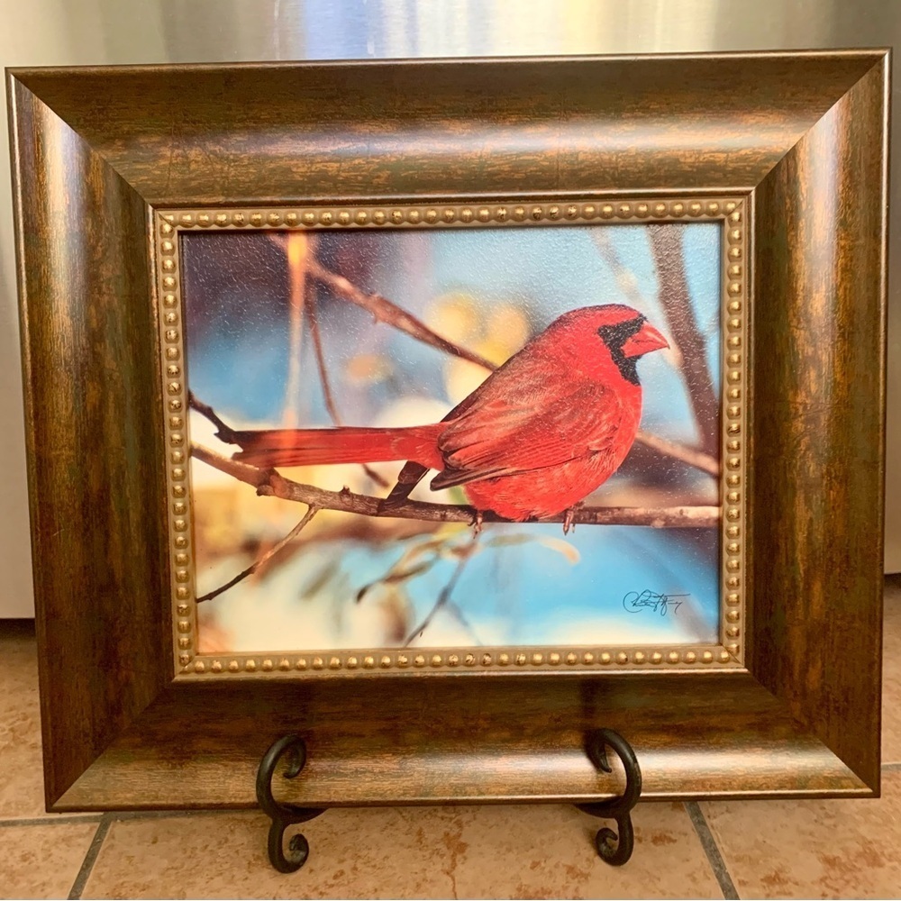 Picture Of Bullfinch A Bird 13/15 Inch
